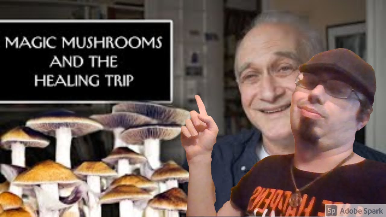 Magic Mushrooms Grow Inside Man's Blood:A Strange But True Livestream - YouTube