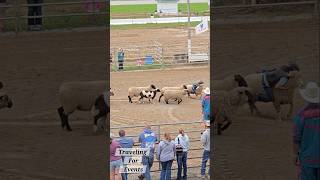 MUTTON BUSTIN MAYHEM! 🐑 Kids Hang On for Their Lives at Richland County Fair! 🤠🔥