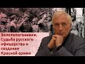 Золотопогонники. Судьба русского офицерства и создание Красной армии