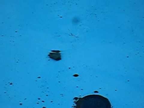 Weird Whirlpool