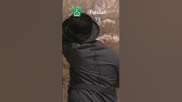 Surah Fussilat 1-5 | Urdu | Hindi Audio Translation | سورة فصلت