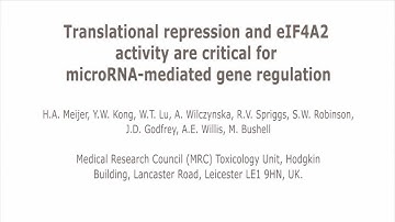 Translational repression and eIF4A2 activity are critical for microRNA-mediated gene regulation