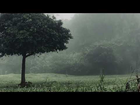 Noah separuh aku -speed up