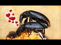 Размножение(спаривание) жуков зофобасов/насекомые/mating beetles/breeding of beetles