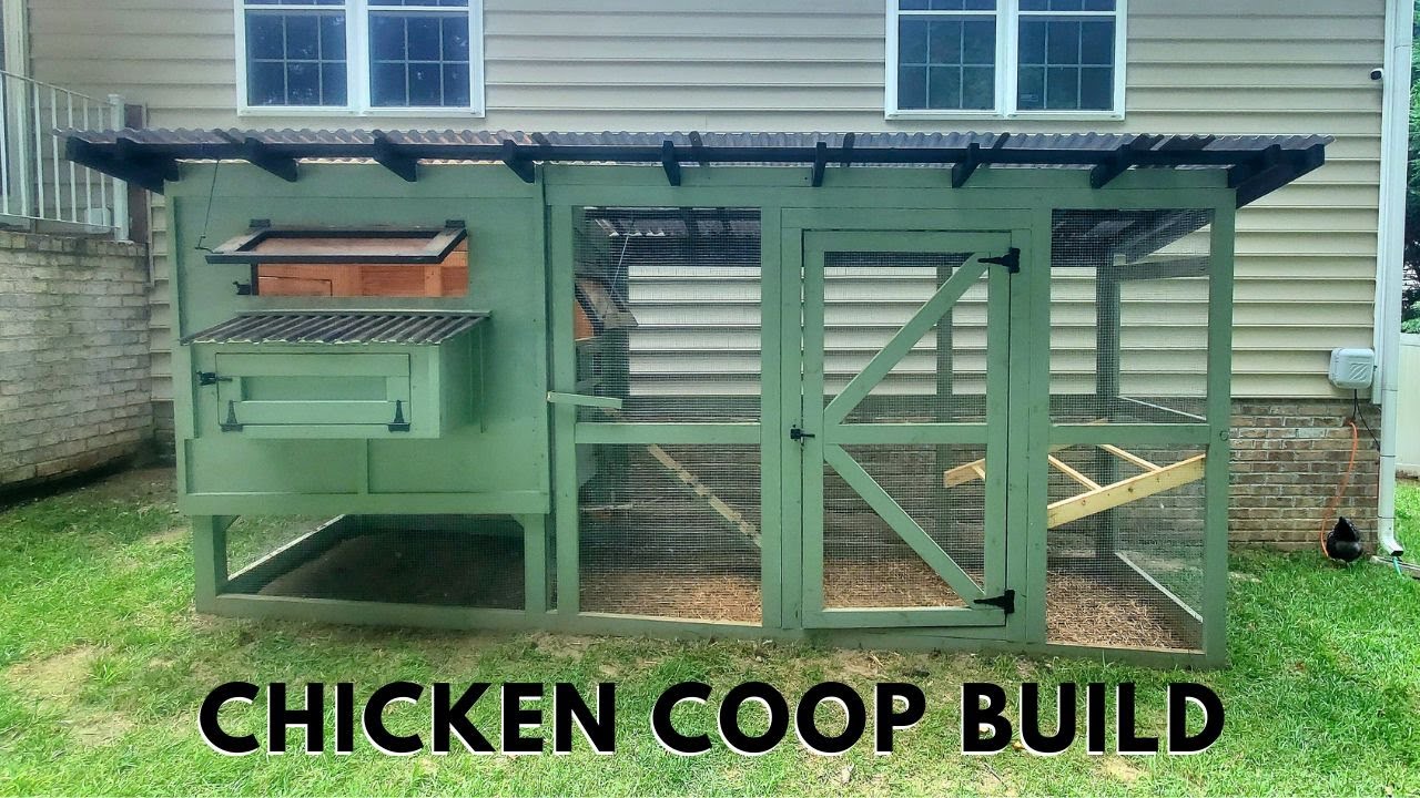 Chicken Coop Build