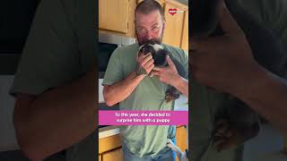 Puppy Surprise Made Husband Emotional || Heartsome