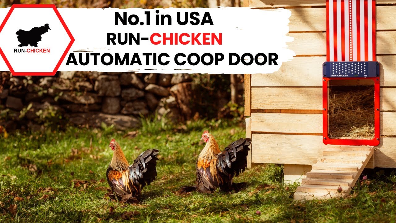 Preparing Your Coop for Winter