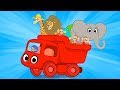 A truck full of animals! Morphle goes to the beach with a lion an elephant, a giraffe and monkeys