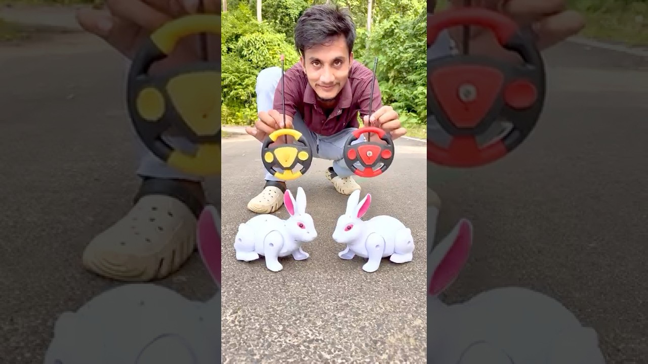 Ye Khargosh Asli Nhi 😱| Remote Control Rabbit Dekho