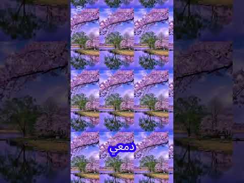 دارت كؤوس الحب للعشاق فالقالب نار والعيون سواقيكل على ليلاه أضناه الهوى