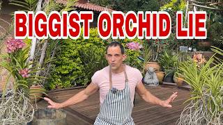 The Biggest Lie in Orchid Growing: ‘Never Pot Vandas’