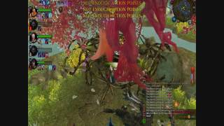 Warhammer Online Lost Vale right wing boss fight