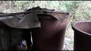 Del Que Toma El Cardenal Behind The Scenes Of Mezcal Production