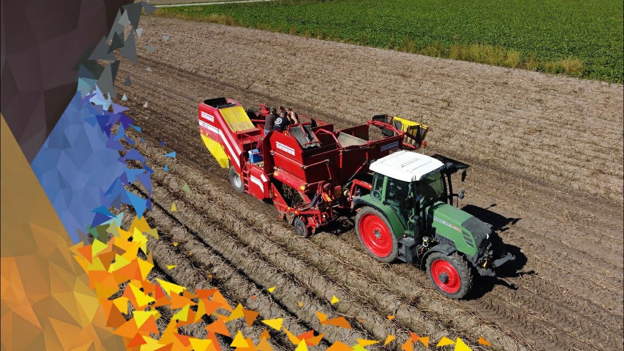 Kartoffel Ernte 2021 | Fendt 311 Vario | Grimme SE 140 | Fendt 516 Vario | Reisch Kipper