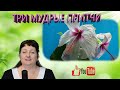 Девушка и печенье | Притча о лопнувшем горшке | Как мир относится к человеку? | Три притчи.