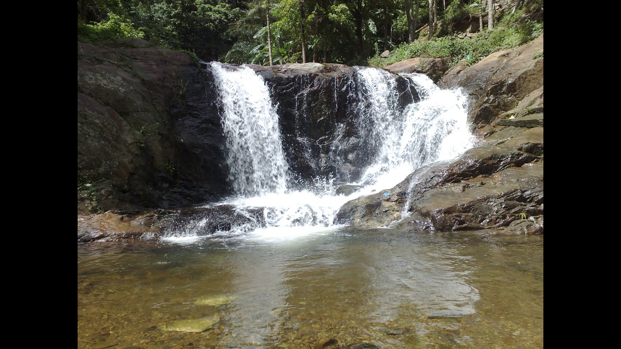 VERY CHEAP ESTATE FOR SALE - INTERESTED TO SET UP A PRIVATE WILDLIFE SANCTUARY? MOB 9443286867