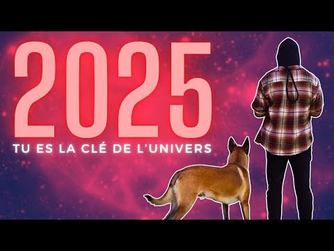 DÉMARRER 2025 DE LA MEILLEURE FAÇON... | YOU ARE the KEY to the UNIVERSE [vostfr]