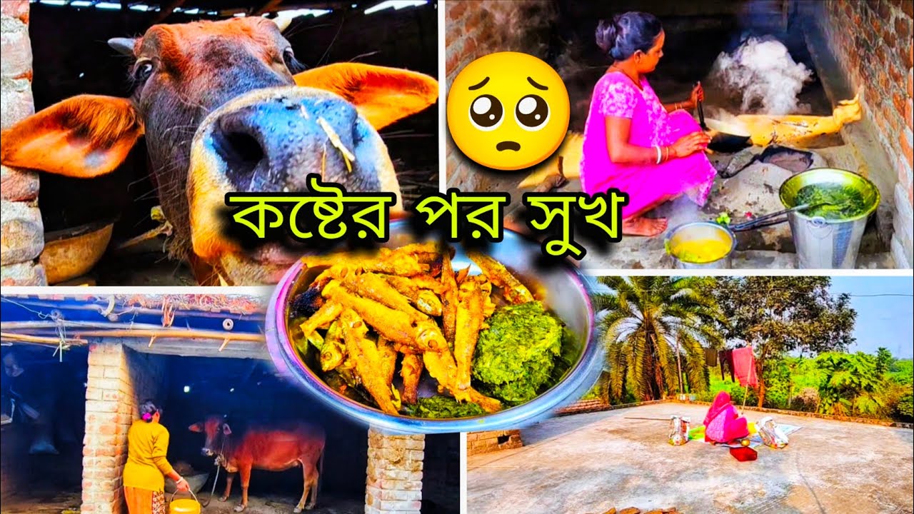 🙄প্রতিদিনের রুটিন অনুযায়ী সকাল থেকে পরিশ্রম করে যেভাবে সব কাজ গুছিয়ে করি 