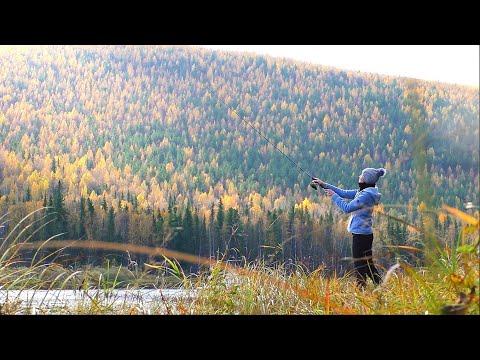 РЫБАЛКА НА МЫШЬ. Море эмоций! НА НЕДЕЛЮ В ТАЙГУ (день 3. Рыбалка на таёжной реке в Сибири.