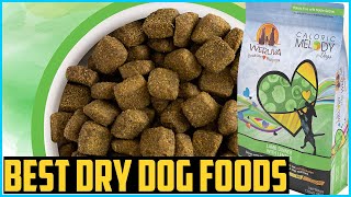 Top 5 Best Dry Dog Foods in 2026