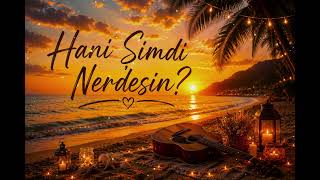 Demir Çelikkan - Hani Şimdi Nerdesin?