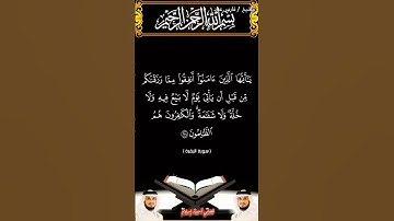 سورة البقرة الآية 254 بصوت الشيخ فارس عباد برواية حفص #القرآن_الكريم #المصحف #duet #viral #اكسبلور