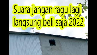 Suara jangan ragu lagi langsung beli saja 2022