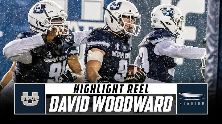 Utah State LB David Woodward Highlight Reel - 2019...