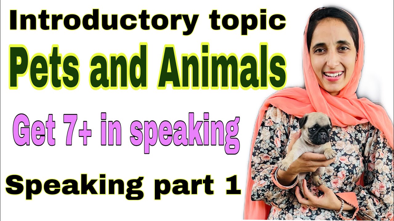 intro questions on pets and animals pets and animals speaking part 1