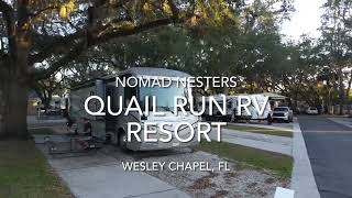 Quail Run RV Resort Wesley Chapel, FL - Quiet Park, Close to Everything!