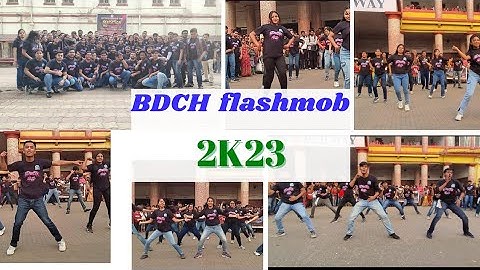 BDCH  FLASHMOB 2K23