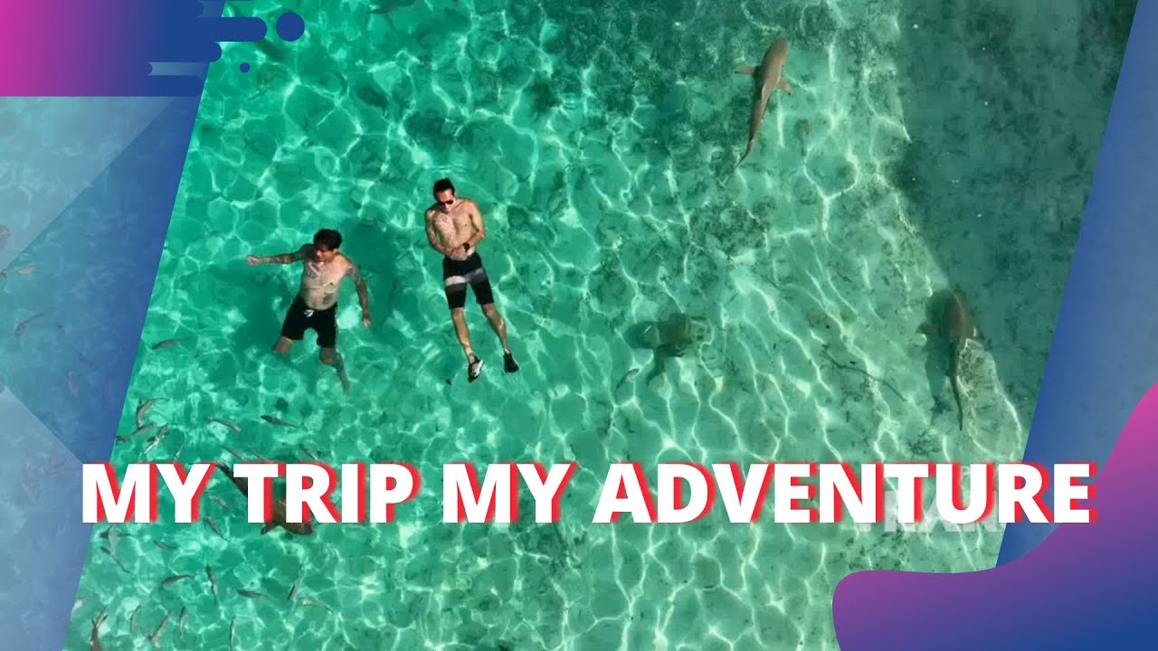 Serunya Lihat Hiu Lebih Dekat Di Raja Ampat | MY TRIP MY ADVENTURE (10/2/24) P3