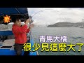 香港釣魚︱和朋友到青馬大橋釣魚 幸運地釣到『大魚』 回家後煮來吃味道竟然是.......