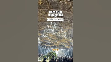 Đám cưới Hoa hậu Đỗ Hà và Chú rể Viết Vương hoành tráng quá mọi người ơii 😍🤩🤯 #tapdoansonhai