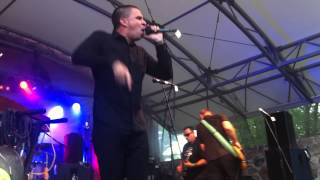 The Aggrolites - Dirty reggae (This is ska Festival 2013)