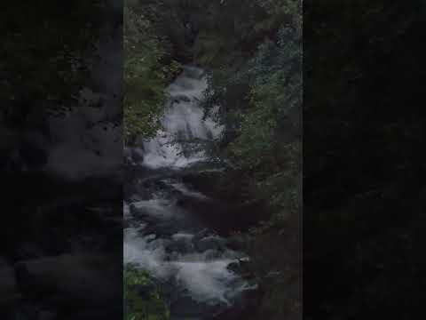Fairy Falls Waterfall Trefriw Wales #wales #peace #calm #walking #beautiful #nature