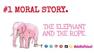 Details THE ELEPHANT AND THE ROPE./MORAL/MOTIVATIONAL/INSPIRATIONAL STORY. News