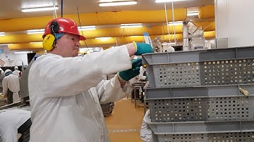 The Rework Challenge - Food Traceability