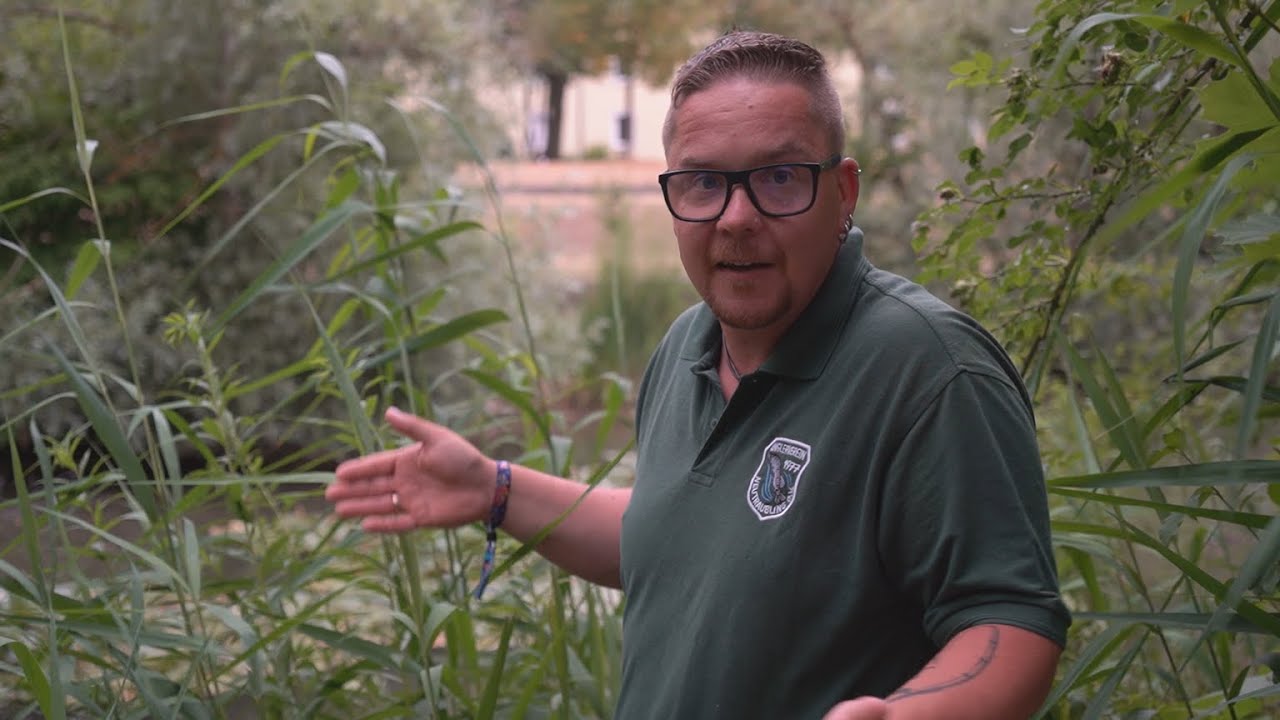 Nach Waller-Angriff im Brombachsee: Angler kritisiert Vorgehen vor Ort