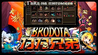 Гайд на питомцев в BRODOTA (Бродота)