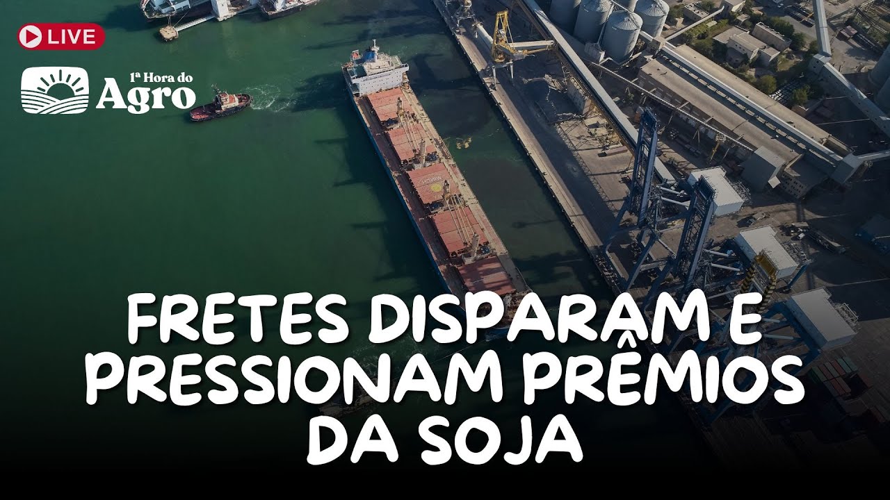 Fretes Marítimos DISPARAM e Pressionam Prêmios da SOJA - AO VIVO - 04/03/2026