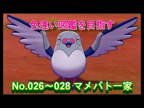 ソードシールド マメパトの種族値 わざ 特性など能力と入手方法 ポケモン剣盾 攻略大百科