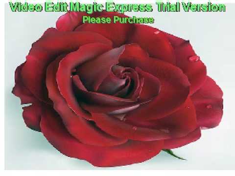 eva cassidy - My Love is Like a Red Red Rose (eng lyrics)