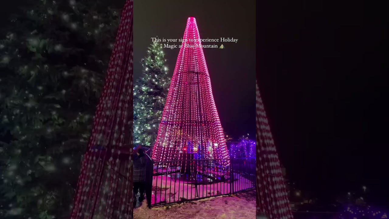 Holiday Magic at Blue Mountains