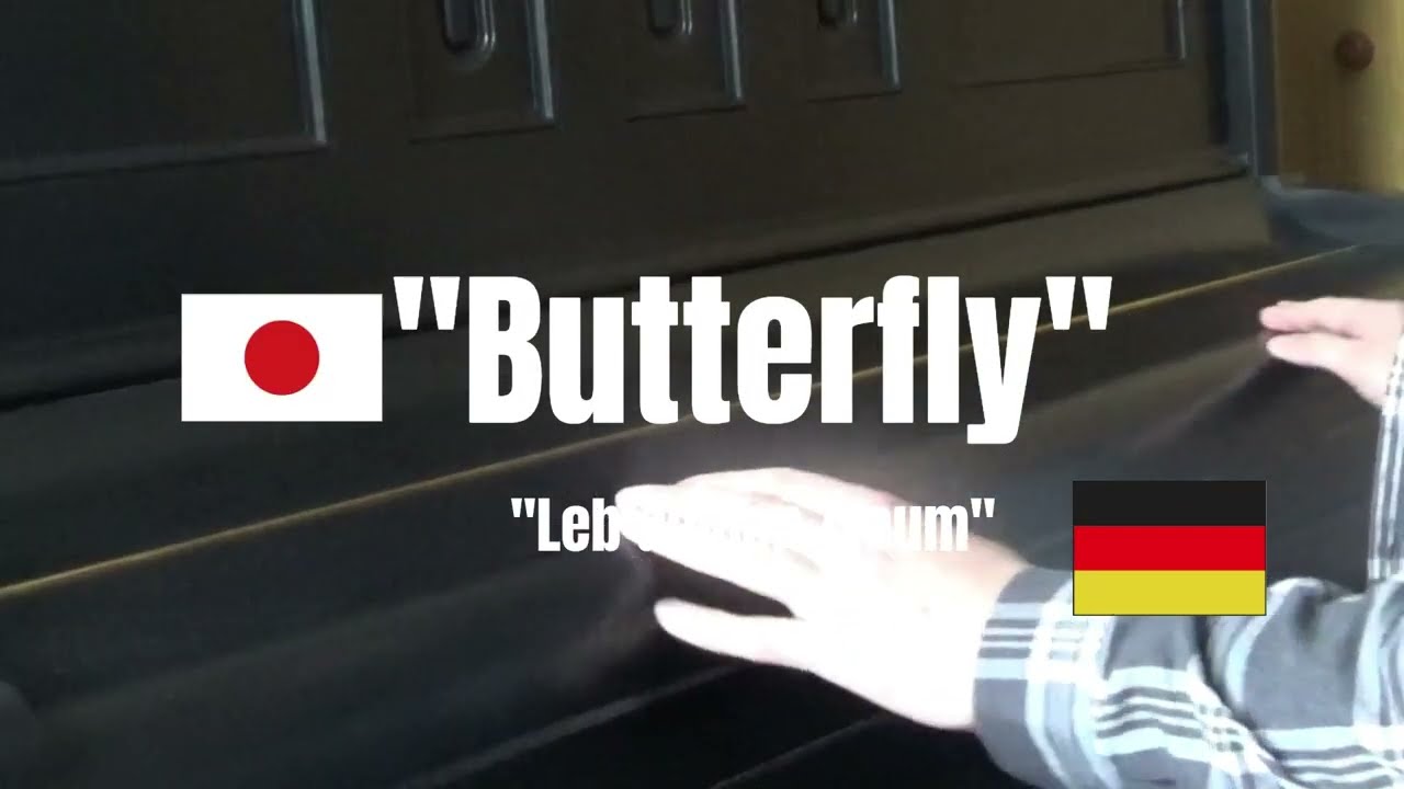 Butterfly - 和田こうじ  COVER (Piano)