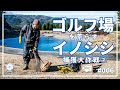 ゴルフ場を荒らす猪捕獲大作戦② イノシシ生け捕り編 #006 -Operation to capture wild boars that destroy golf courses Episode 2-