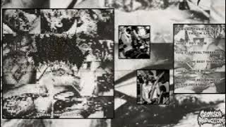 LARVAL THERAPY -  LARVAL THERAPISTS EP