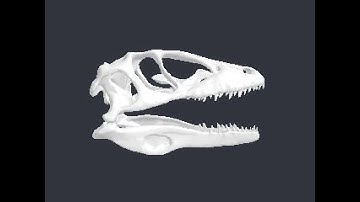 3D Model of dinosaur - file Dinosaur skull.max