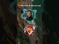 الشامي وحسين الجسمي أغنية ضلي اشتاقيلي      