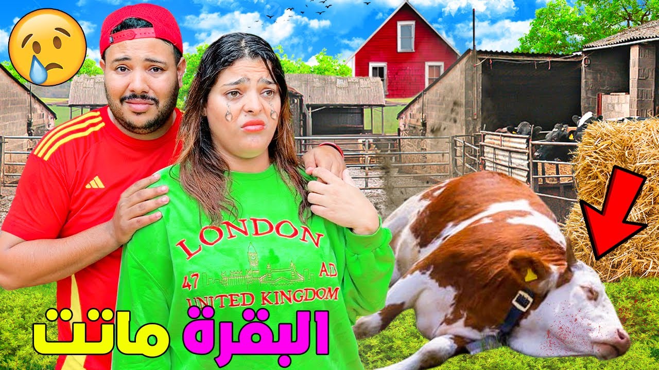 للاسف..بقرة المزرعة ماتت🐓بسبب عاصفة الامطار ‼️( ابتسام بكات عليها😭)